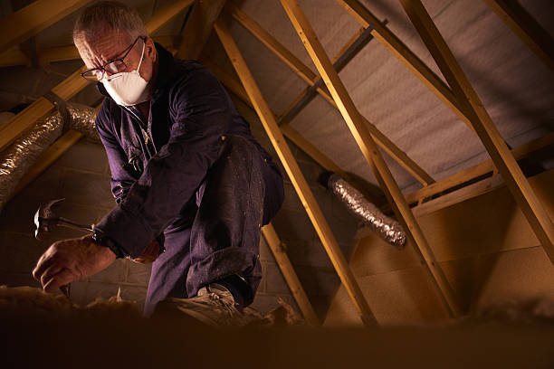 Best Specialty Insulation in Willow Creek, CA